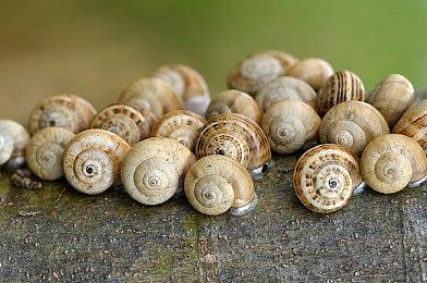 重拳出击《三角洲行动》封禁1729名玩家